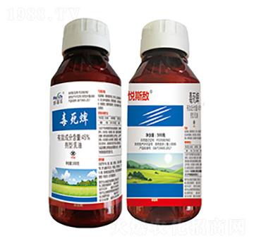 45%������-��˹��-