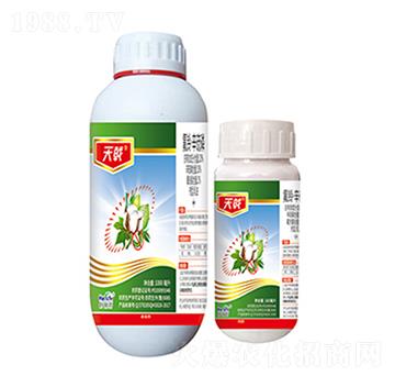 20%��⏡�������-��