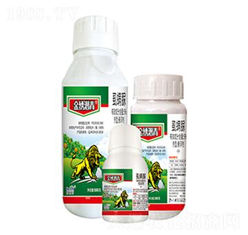 5%ʭ����-���P����-