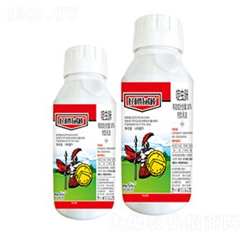 10%��x(ch��ng)��-������߯