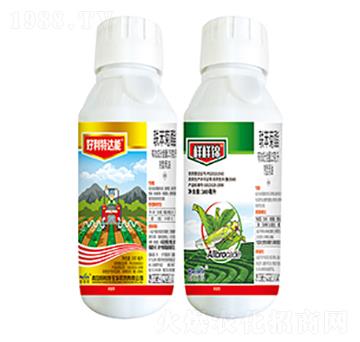 25��ÿ��(li��n)������-��