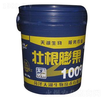 壯根膨果肥-天湖