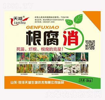 根腐消-天湖