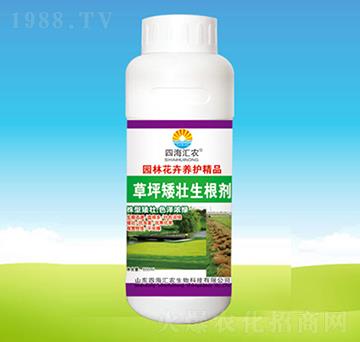 草坪矮壯生根劑-四海匯農(nóng)