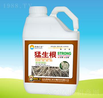 猛生根-四海匯農(nóng)