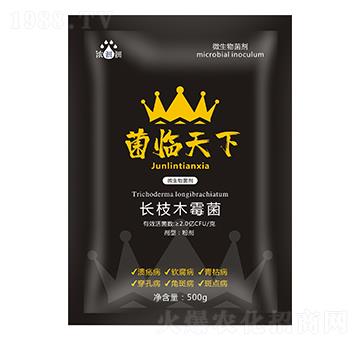 君臨天下（微生物菌劑）-濃沺沺-天度生物