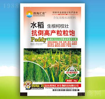 水稻抗倒高產(chǎn)粒粒飽-四海匯農(nóng)