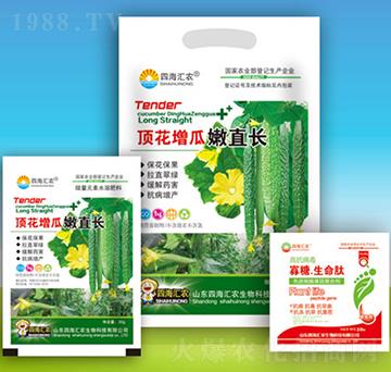 頂花增瓜嫩直長-四海匯農(nóng)