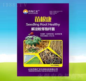 苗根康解淀粉芽孢桿菌-四海匯農(nóng)