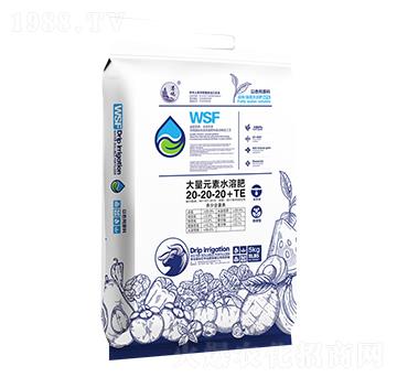 5kg大量元素水溶肥20-20-20+TE-遠(yuǎn)洋眾德