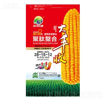 緩釋摻混肥料28-15-12-大豐收-遠洋眾德