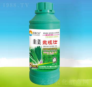 韭菜嫩粗壯-四海匯農