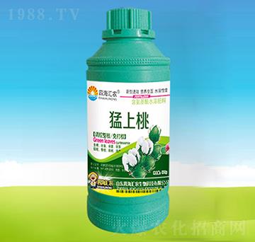 ������-�ĺ��R�r(n��ng)