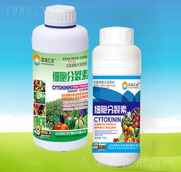 ��(x��)��������-�ĺ��R�r(n��ng)