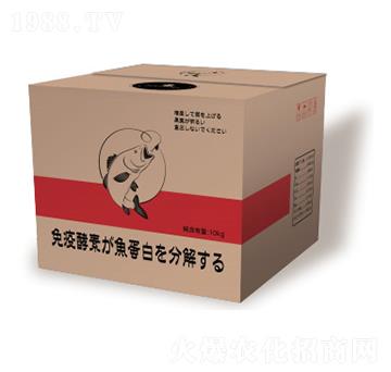 ø���~����-��һ�Z����