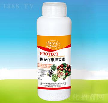 �������������-�ĺ��R�r(n��ng)