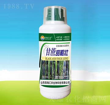 ������։�-�ĺ��R�r(n��ng)