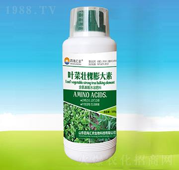 �~�ˉѿ������-�ĺ��R�r(n��ng)