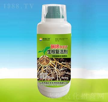 պ����������(f��)�-�ĺ��R�r(n��ng)