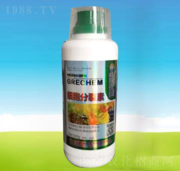 ��(x��)��������-�ĺ��R�r(n��ng)