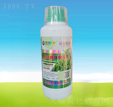 500g茶葉嫩芽肥芽劑-四海匯農