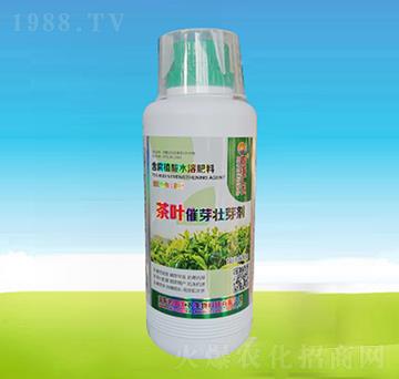 500g茶葉催芽壯芽劑-四海匯農