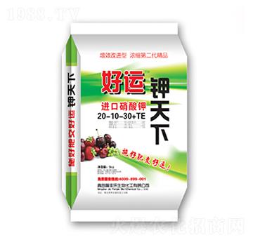 �M�������20-10-30+TE-���\�����-��������