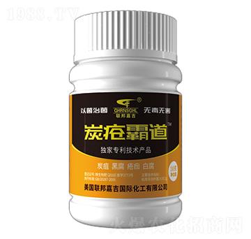 炭瘡霸道-聯(lián)邦嘉吉