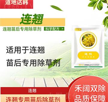 �B�N���݄�-�B�N���-�B�N����-���n