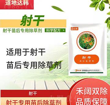 ��ɳ��݄�-��������Ɍ��á����n