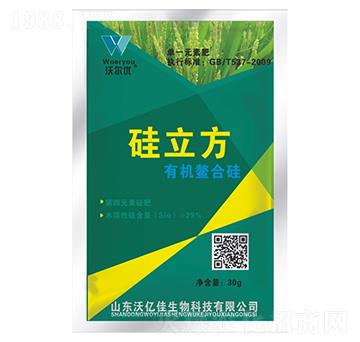 ������-�֠���(y��u)