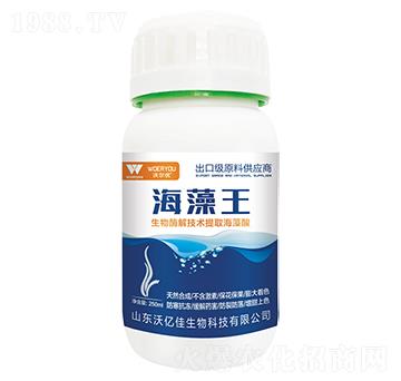 �����������ڼ�ԭ�Ϲ���(y��ng)�̣�-�֠���(y��u)