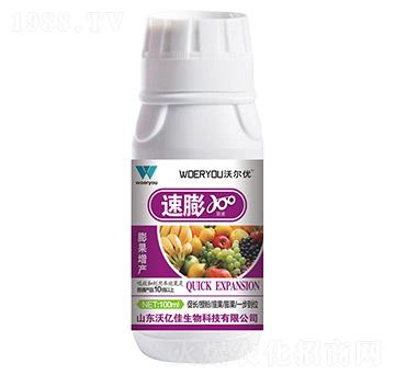 ����-�֠���(y��u)