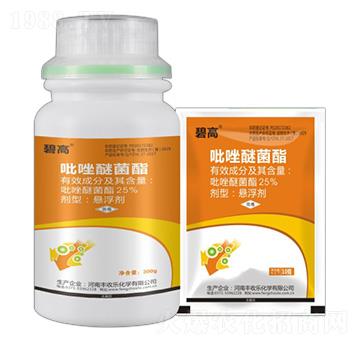 25%�����Ѿ���-�̸�