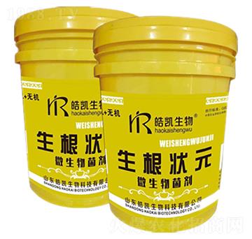 微生物菌劑-生根狀元-皓凱生物