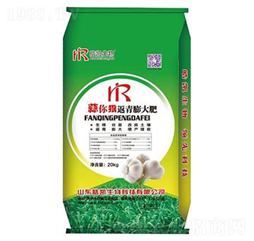 蒜你狠返青膨大肥-皓凱生物