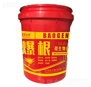 微生物菌劑-爆根-皓凱生物