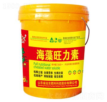 ����������-�h�|����