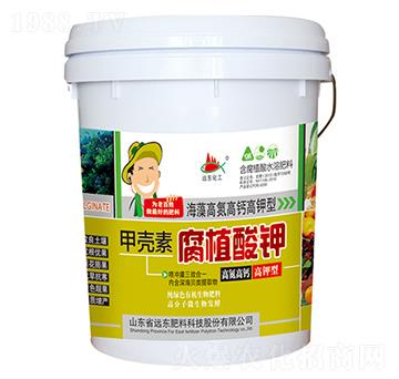 �ך��ظ�ֲ���-�h�|����