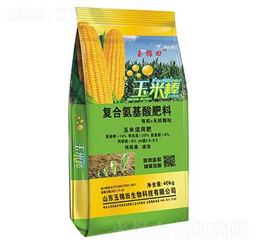 玉米適用復(fù)合氨基酸肥料-玉米棒-玉錦田