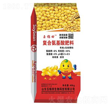 �󶹌��Ïͺϰ��������-���\��