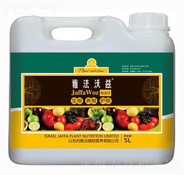 5L雅法沃茲-雅法