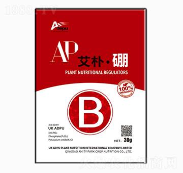 艾樸·硼-愛(ài)德樸