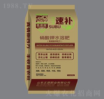 硝酸鉀水溶肥-速補-正源肥業(yè)