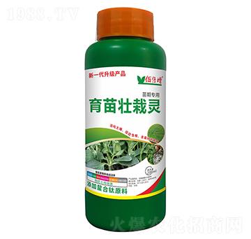 ��������`-�۱���