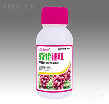克倫速紅-金太陽(yáng)肥業(yè)