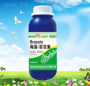海藻·蕓苔素-碧野農(nóng)化