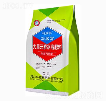 加家富大量元素水溶肥-科威泰