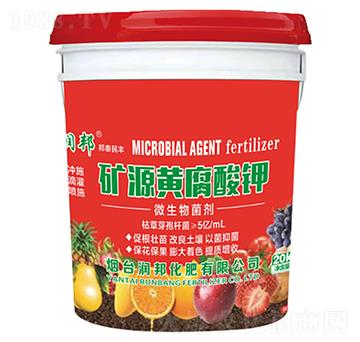 微生物菌劑-礦源黃腐酸鉀-潤(rùn)邦化肥