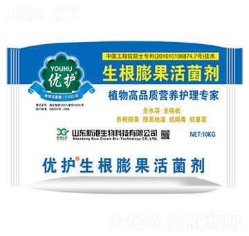 ������������-�¸�����